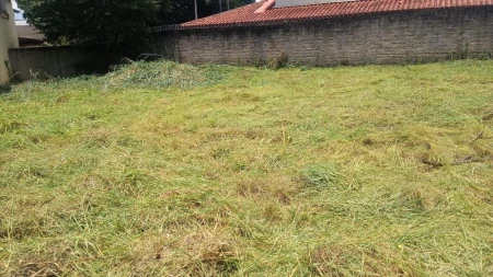 Lote Jardim Atlântico